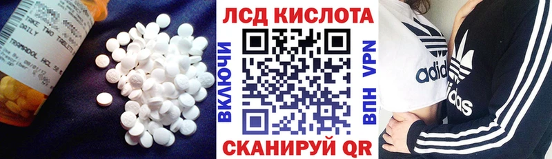 дарк нет наркотические препараты  Сатка  LSD-25 экстази кислота 